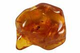 Unidentified Inclusion In Baltic Amber - Russia #96207-1